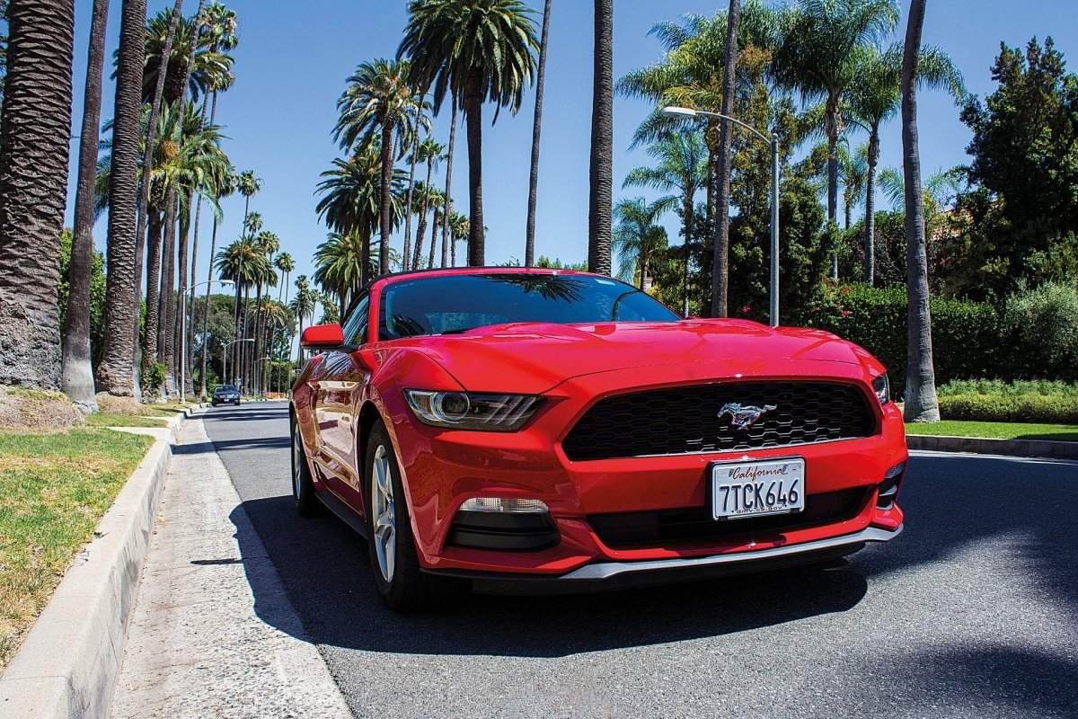 Exterior Trims & Skins for Ford Mustang (2015-2022)