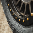 CLEARANCE: Protection Rings V1 - Precision Laser Cut - Aspire Auto Accessories