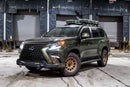 2014-2023 Lexus GX460 Runner Guard Assembly - Aspire Auto Accessories