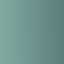 Steering Wheel Overlay (2024+ Tacoma/2025+ 4Runner) - Aspire Auto Accessories