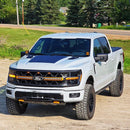 Lensun 100W Hood Solar Panel for Ford F-150 Tremor (2021-2025)