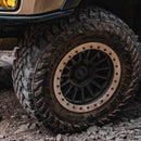 CLEARANCE: Protection Rings V1 - Precision Laser Cut - Aspire Auto Accessories