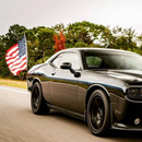 BadFlag Pole and Hardware - Aspire Auto Accessories