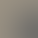 Taco Vinyl Pro Grille Letters for Tacoma (2024-2026)