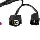 Diode Dynamics Plug-and-Play Backlight Harness for Tacoma (2016-2023)