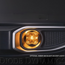 Diode Dynamics SS3 LED Fog Light Kit for Ram 1500 (non-LED) (2019-2024) - Aspire Auto Accessories