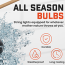 FSR LED / Speaker String Lights - Aspire Auto Accessories