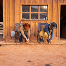 GCI Outdoor RoadTrip Rocker™ - Aspire Auto Accessories