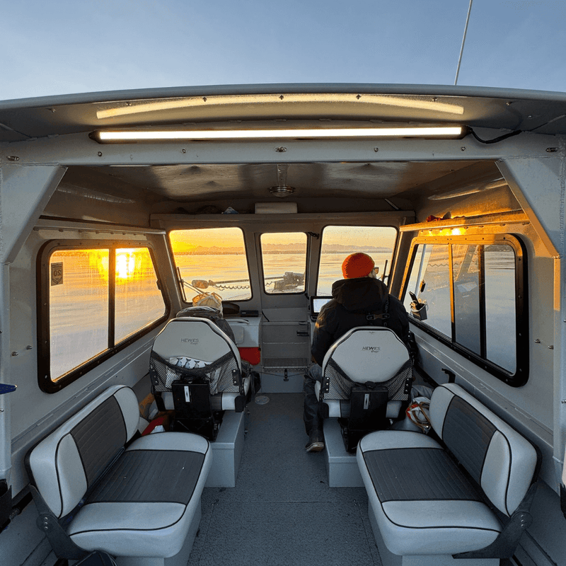 Kingpin V-Series 40" Light - Aspire Auto Accessories