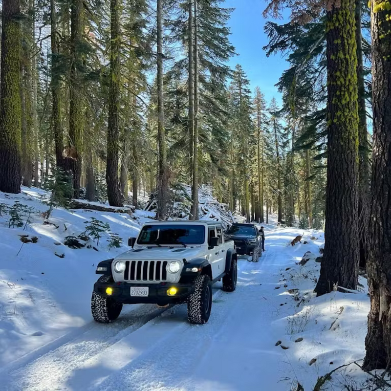 Lasfit LED Exterior Bulbs for Jeep Gladiator (2020-2024) - Aspire Auto Accessories