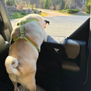 Primo Workz Paw Protector - Black Canvas- Single