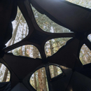 Roam Adventure Co Drifter Tent - Aspire Auto Accessories