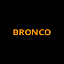 Screen ProTech Kit for Ford Bronco (2021-2025) - Aspire Auto Accessories