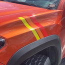 Taco Vinyl Medium Universal Stripes