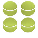 Tufskinz Air Vent Accent Trim for  Tacoma (2016-2023) - Aspire Auto Accessories