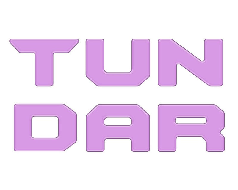 Tufskinz Bed Rail Letter Overlays for Tundra (2022-2024) - Aspire Auto Accessories